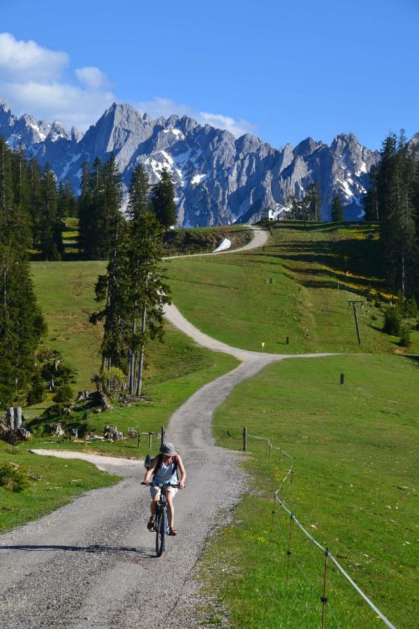 Pension Edelweiss Top21 Gosau Dış mekan fotoğraf