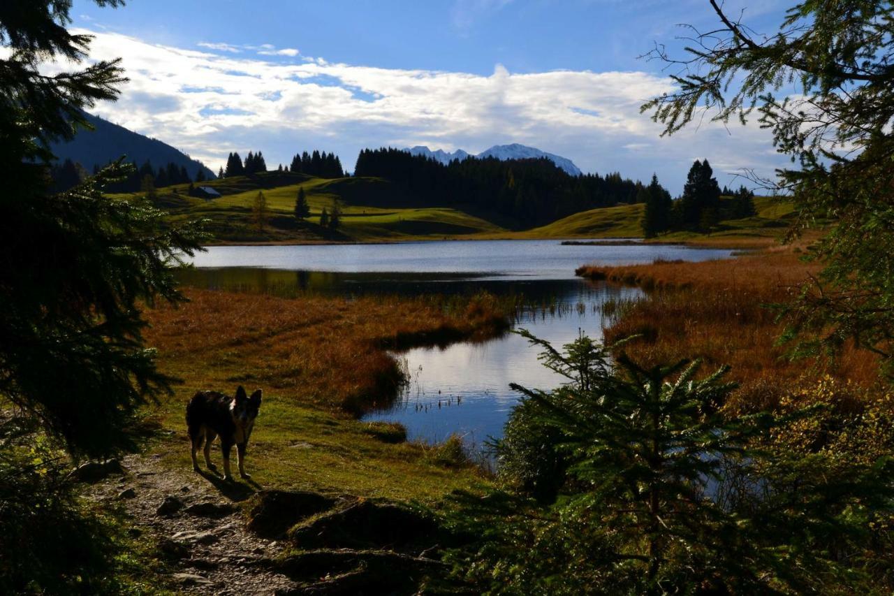 Pension Edelweiss Top21 Gosau Dış mekan fotoğraf