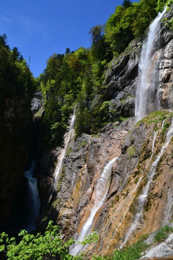 Pension Edelweiss Top21 Gosau Dış mekan fotoğraf