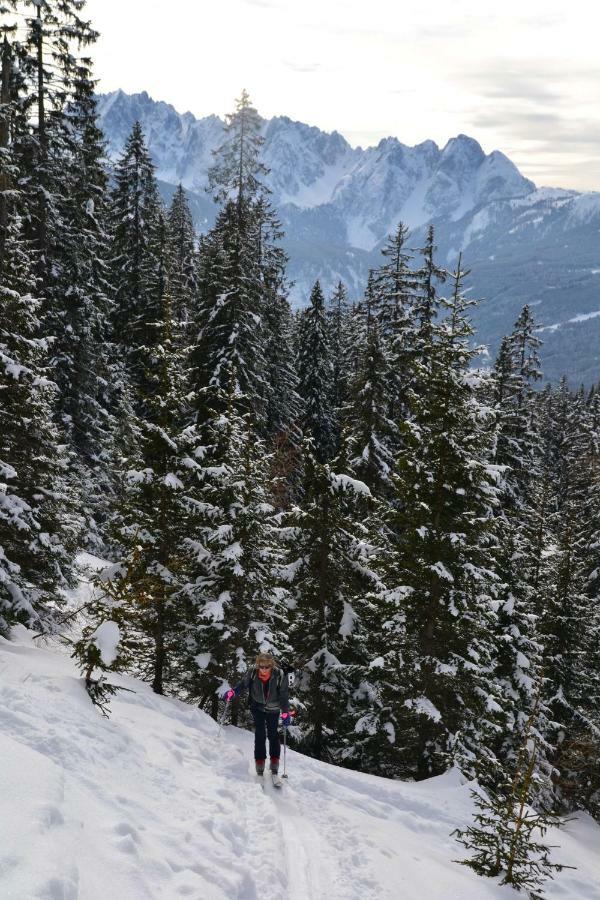 Pension Edelweiss Top21 Gosau Dış mekan fotoğraf