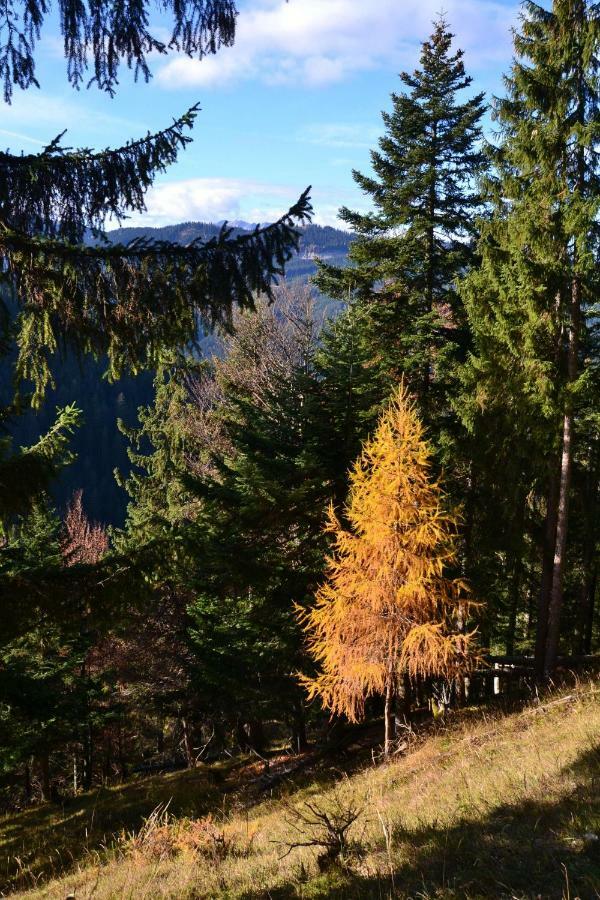 Pension Edelweiss Top21 Gosau Dış mekan fotoğraf