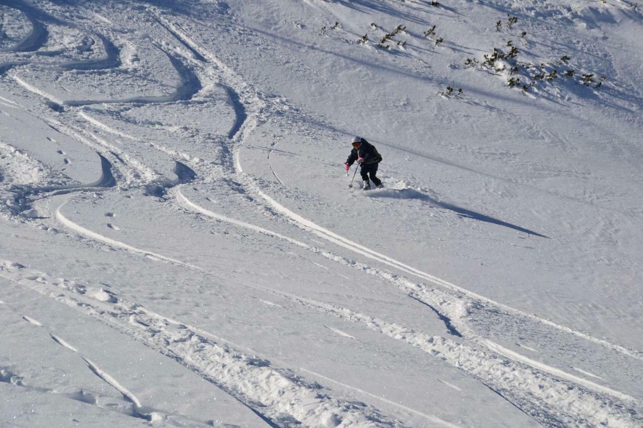 Pension Edelweiss Top21 Gosau Dış mekan fotoğraf