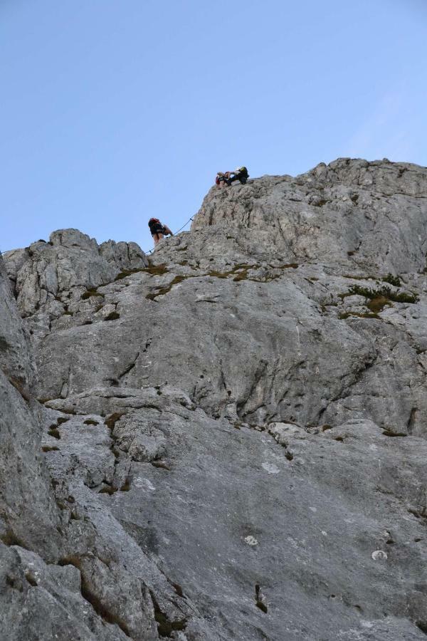 Pension Edelweiss Top21 Gosau Dış mekan fotoğraf